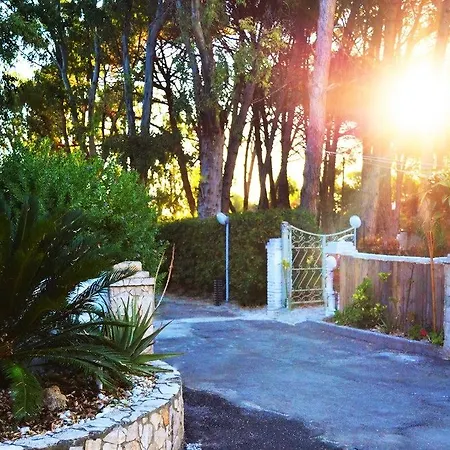 Solaris Wellness